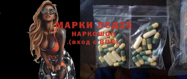 гидра Коряжма