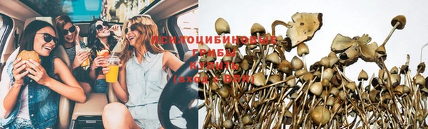 метадон Лагань