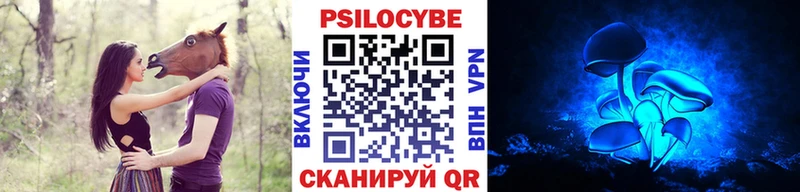 площадка наркотические препараты  Моршанск  Галлюциногенные грибы Psilocybine cubensis 