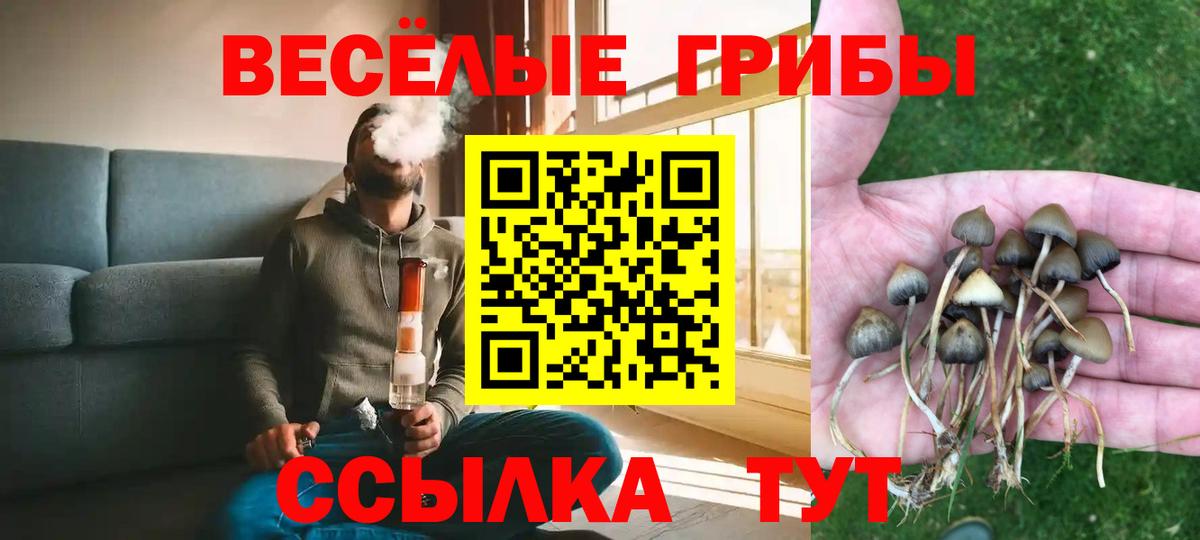 Галлюциногенные грибы GOLDEN TEACHER  Галлюциногенные грибы Psilocybe  Вход с VPN  Моршанск 